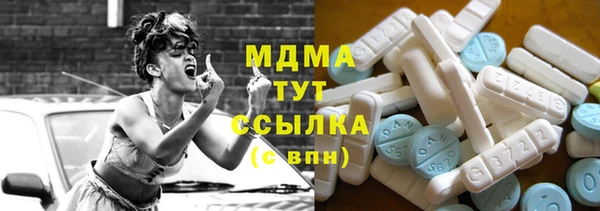 индика Верея